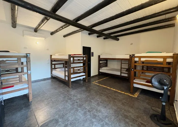Hostel: Dreamer Palomino