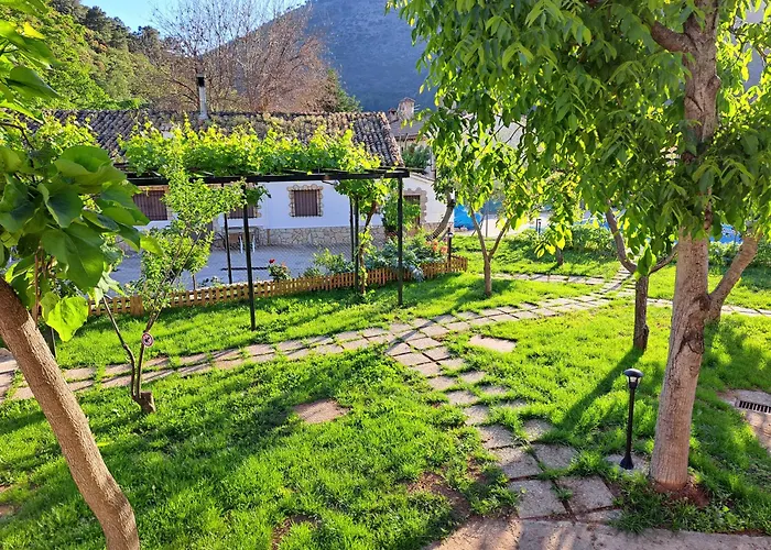 Apartamentos Martin
