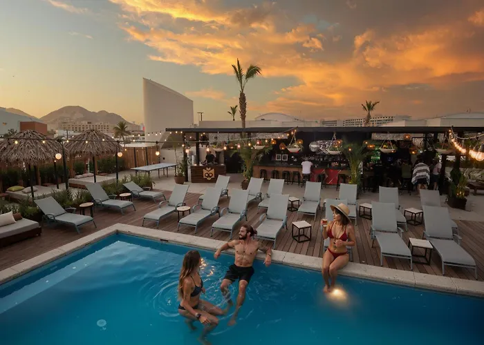 Mayan Monkey Los Cabos - Social (Adults Only)