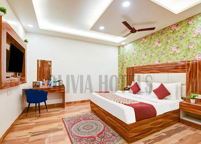 Waterpark hotel: Olivia Hotels - Delhi Airport