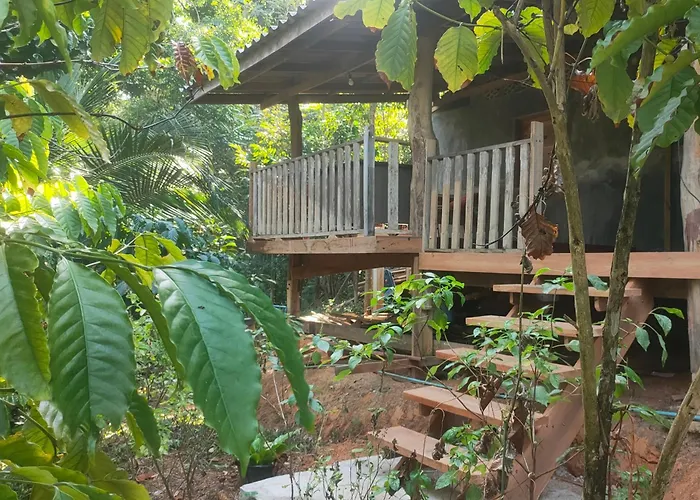Relax House