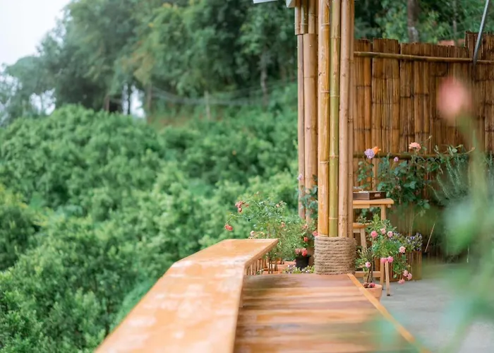Paopao Orange Farm And Home Stay