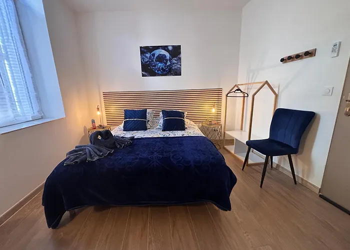 Hôtel accueillant les animaux: La Saphir