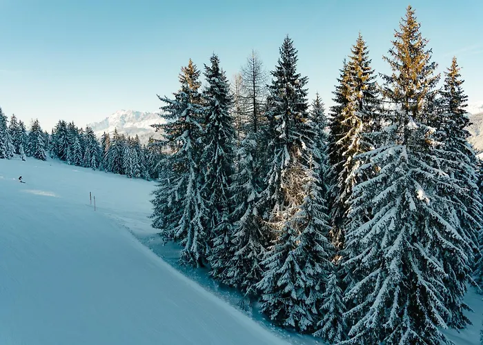 Centraal gelegen hotel: Chalet Auhof