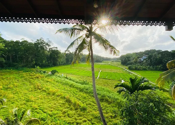 Airport Hotel: Mudalige Dream Paradise