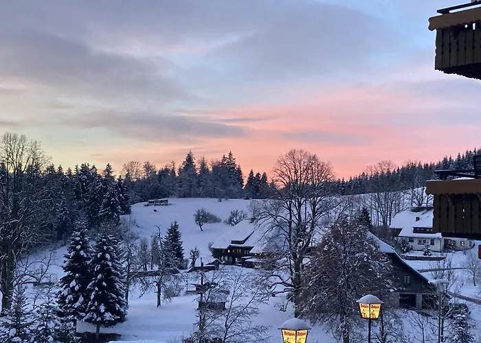 Hotel mit Hund Boutique & Aparmtents Pension Sternen