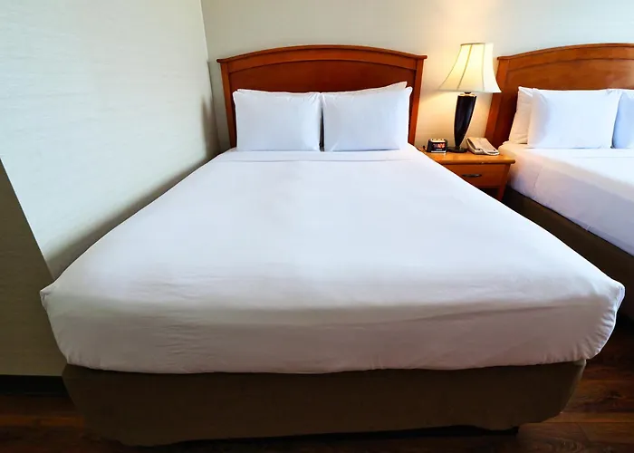  Continental Inn & Suites