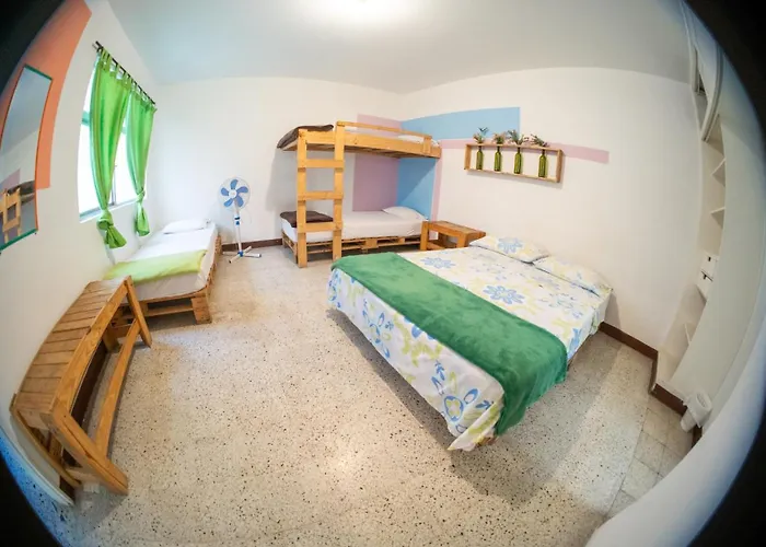 Pet Friendly hotel: Hostal Paz Y Vida