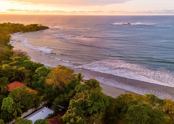 The Coast Beachfront Hotel