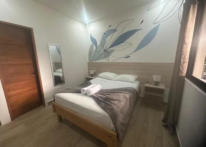 Wide Mouth Frog Quepos