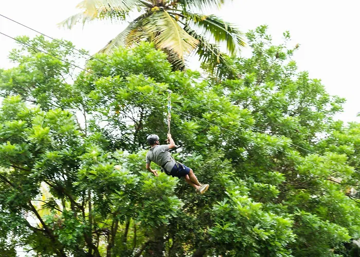 Elim s, Bangalore