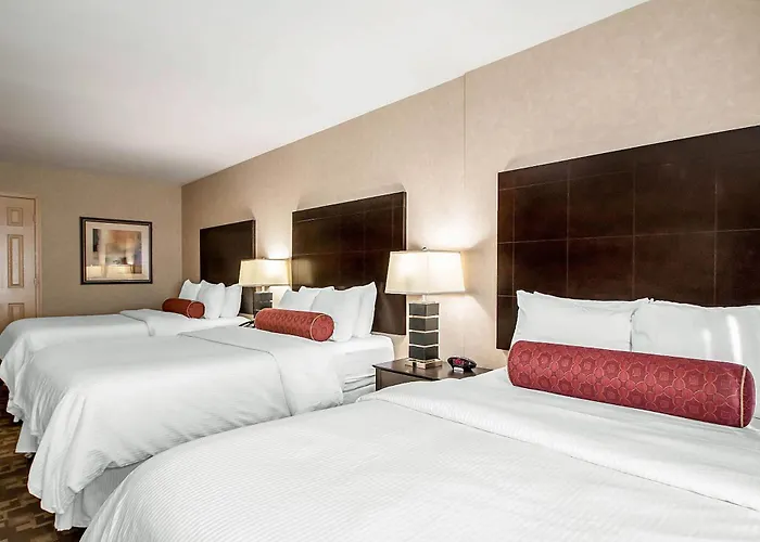 Clarion Elmhurst - Oak Brook Near I-88, I-290, I-294