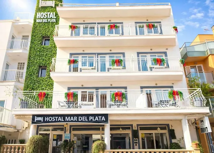 Pet Friendly hotel: Hostal Mar Del Plata (Adults Only)