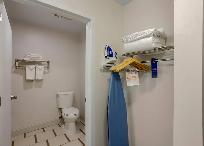 Pet Friendly hotel: Comfort Inn & Suites Mt Laurel-Philadelphia