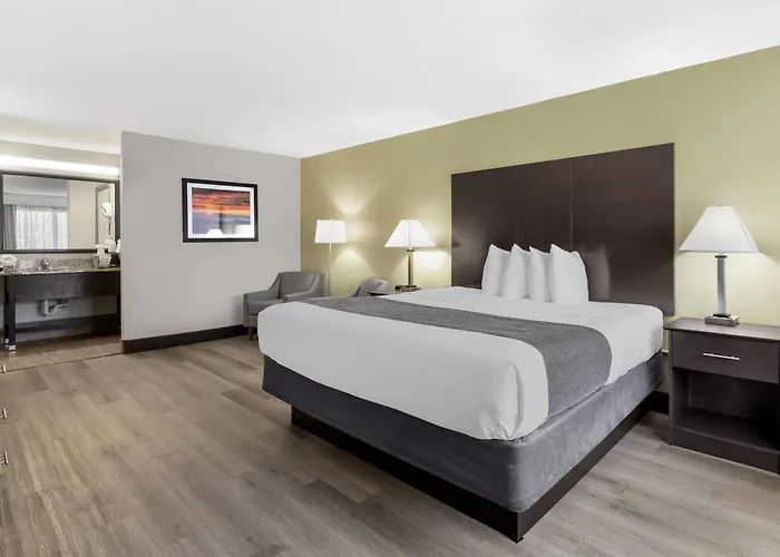 Pet Friendly hotel: Best Western Asheville-Blue Ridge Parkway