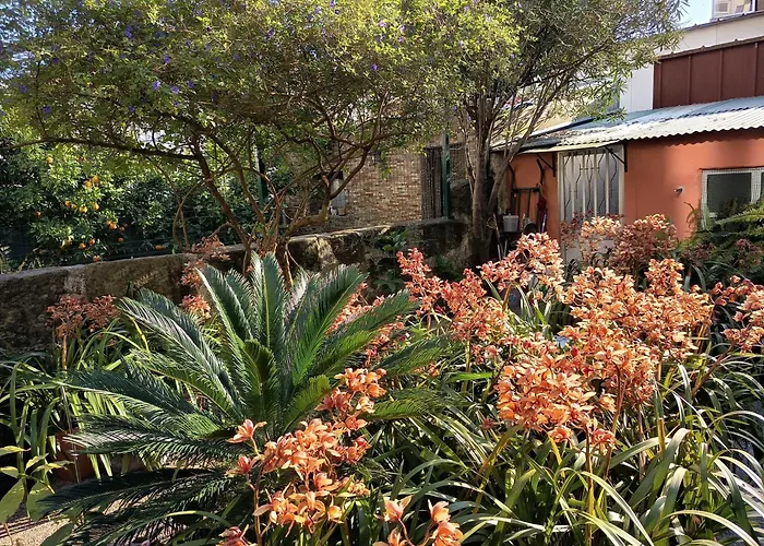 Alojamentos: Metro Casa Musica Apartments And Rooms