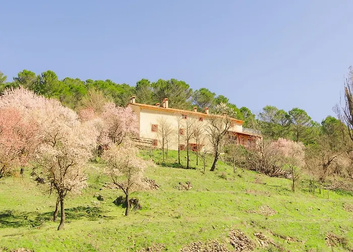 Casa Rural Mirabueno
