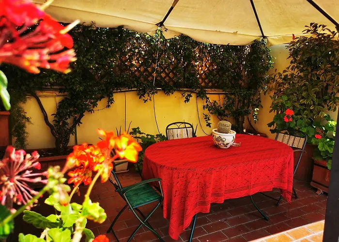 Attic Garden