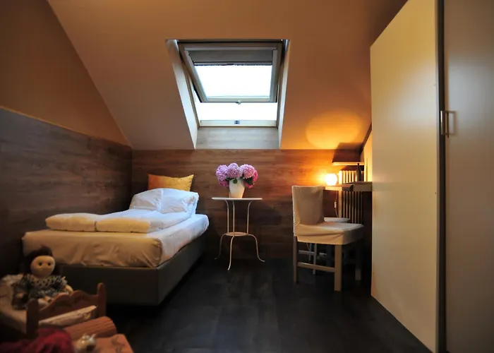 Hotel adatto agli animali: Hotel Liberty