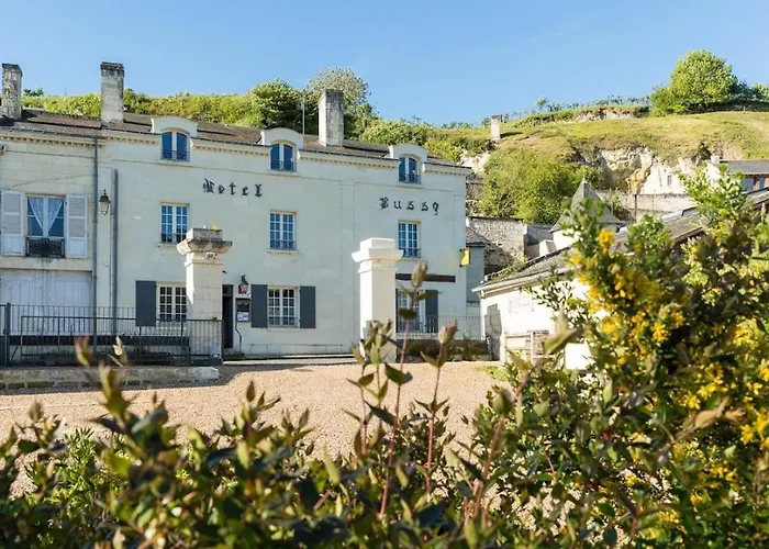Hôtel accueillant les animaux: Hotel Le Bussy