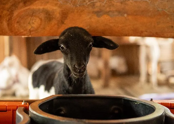 Pousada Rancho Texas Ubatuba