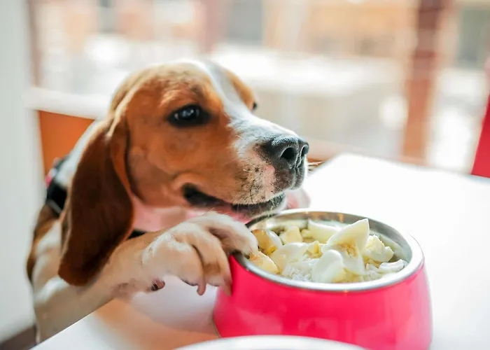 Family Hotel: Ibis Chennai Sipcot - An Accor Brand