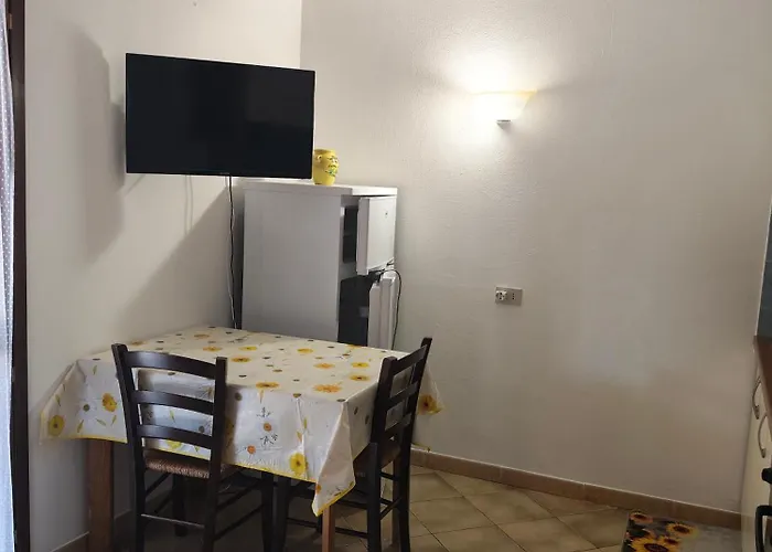 Il Cipresso