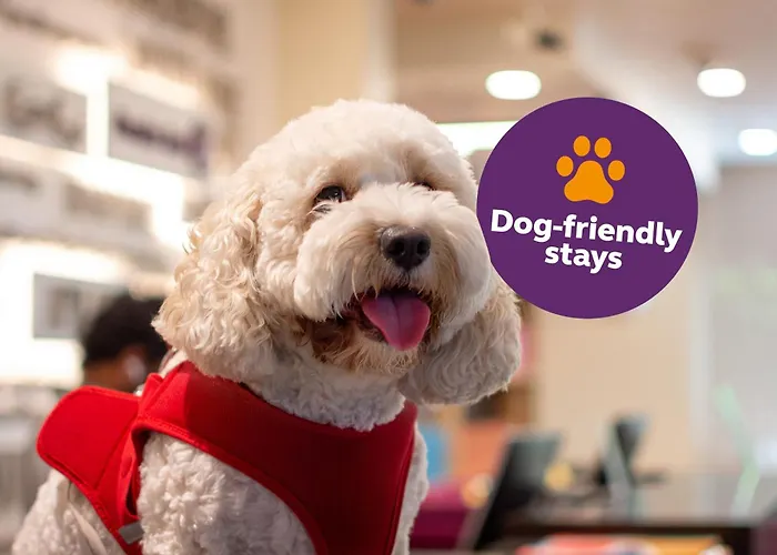 Hôtel bon marché: Premier Inn Dubai Al Jaddaf
