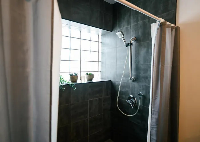 Pet Friendly hotel: The Haven Hostel