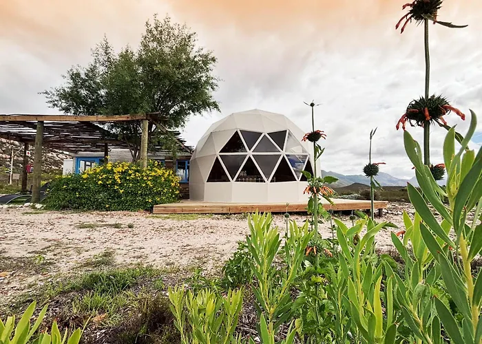 Pet Friendly hotel: Starry Starry Night - Route 62
