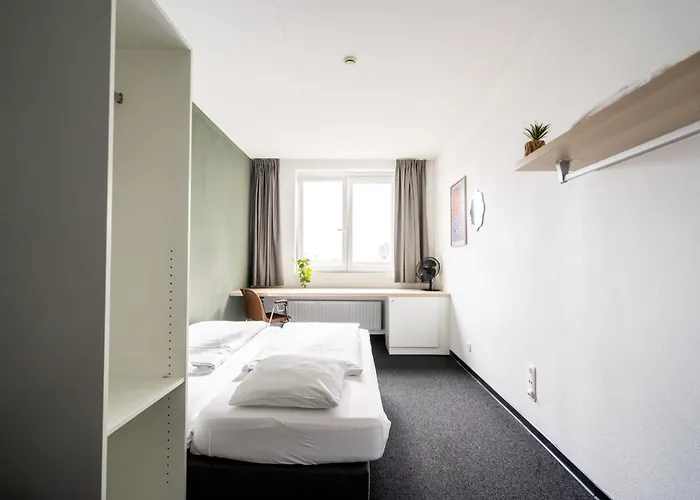 Pet Friendly hotel: The Ash