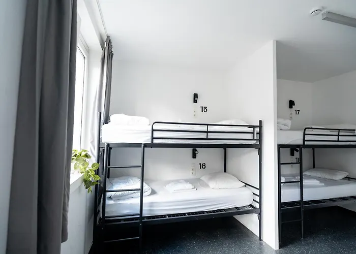 Pet Friendly hotel: The Ash
