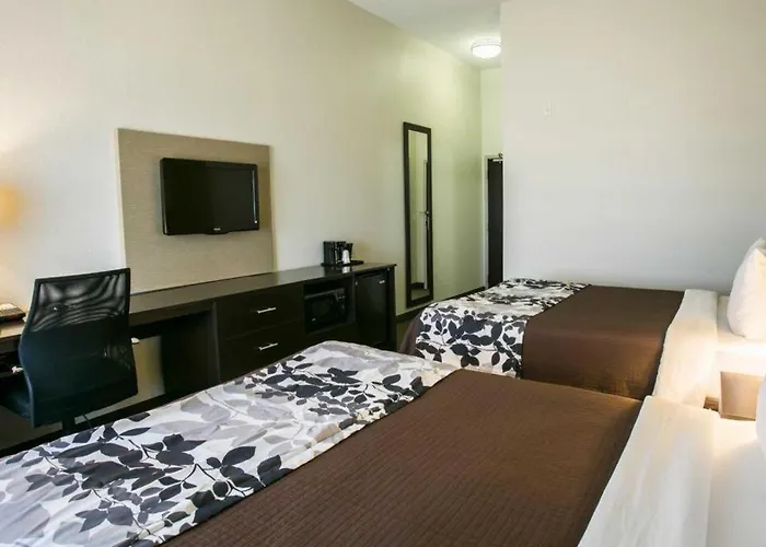 Pet Friendly hotel: Sleep Inn & Suites Dripping Springs - Austin Area