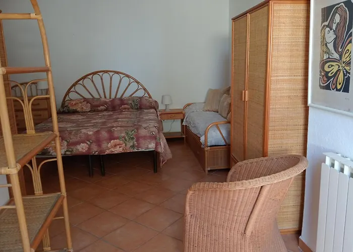 Pitosforo - Ulivo - Cocco