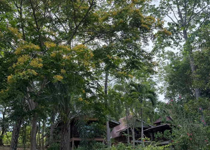 Activities Resort