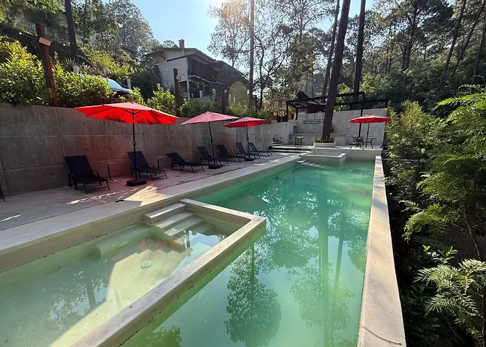 Encino House Boutique