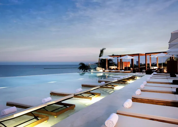 Pets Allowed Hotel Sls Cancun