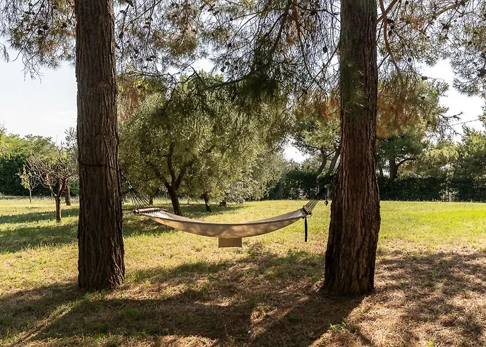 Il Casale Di Montefreddo