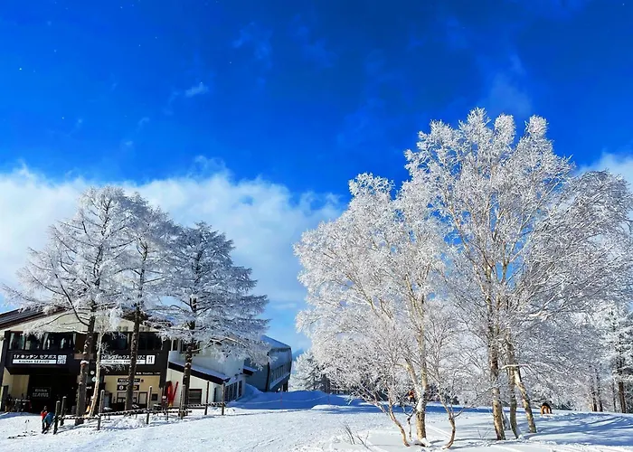 Nozawasnow - Vacation Stay 86333V