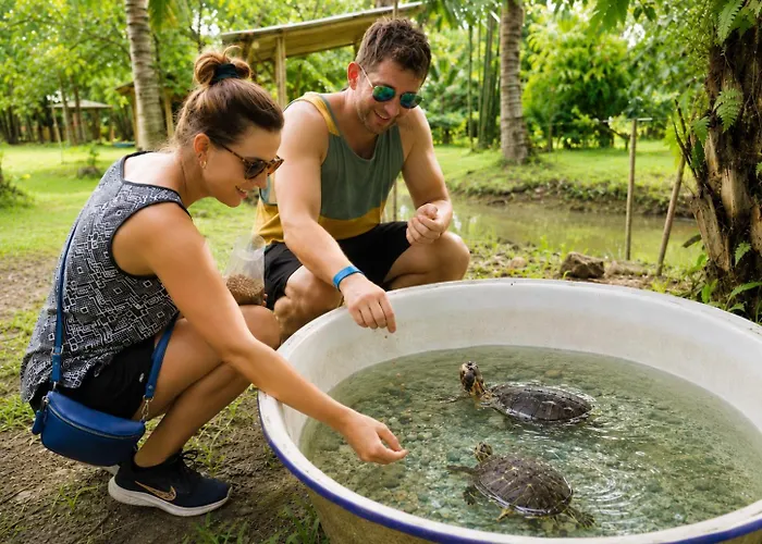 Yaoisland Resort And Farm