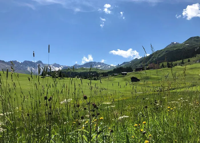 Arosa Vetter Hotel