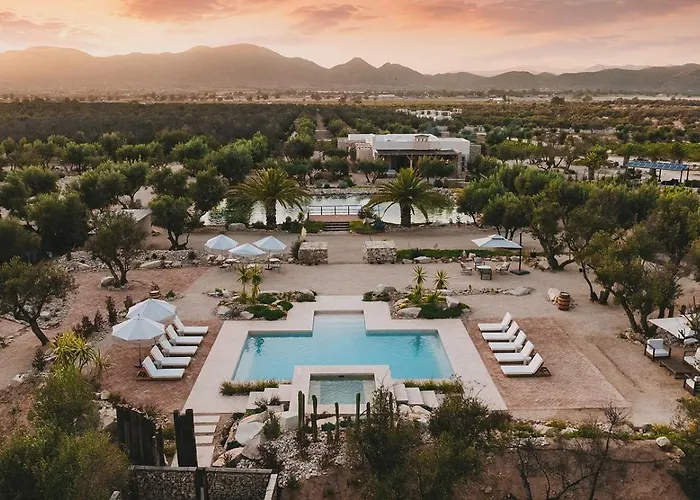 Habimo - Valle De Guadalupe