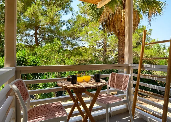 Casa Trees Boutique Hotel (Adults Only)