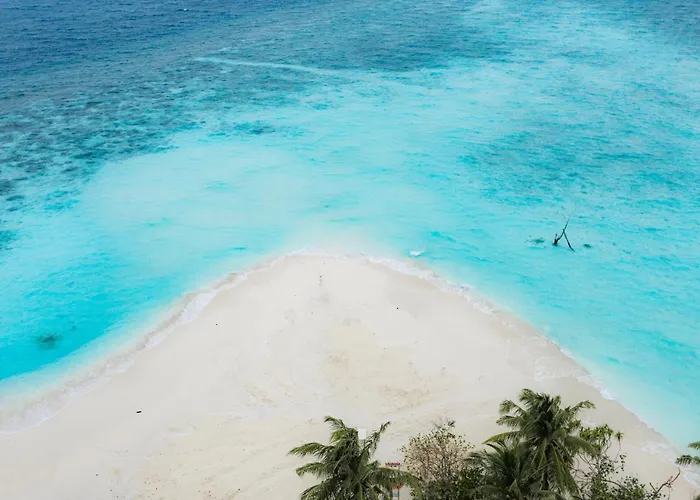 Kashiveli Omadhoo