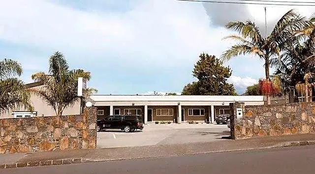 Phoenix Palm
