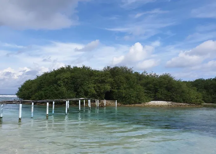 Velaaolhu - Turtle Hive Thulusdhoo