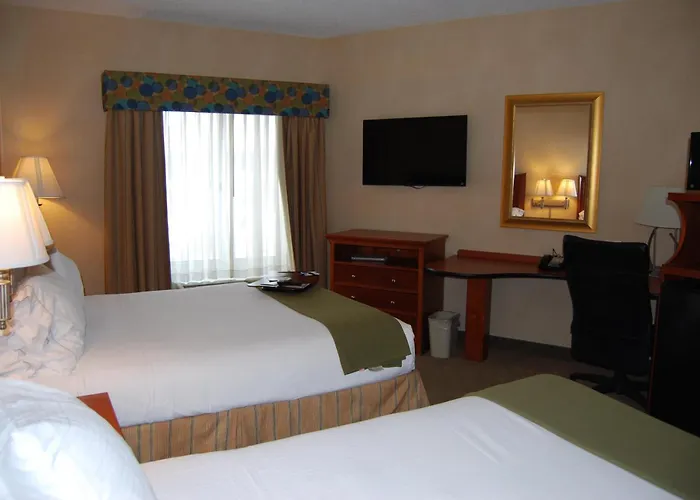 Holiday Inn Express Hotel & Suites Auburn Hills By Ihg