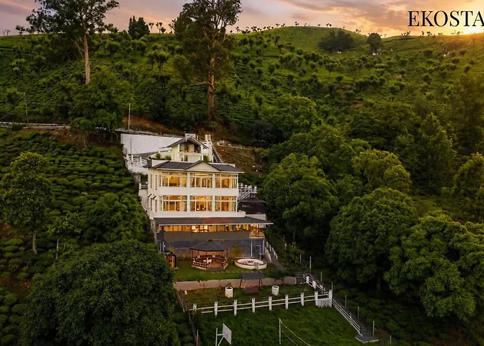 Ekostay I Pearl House I 360 Degrees Tea Estate