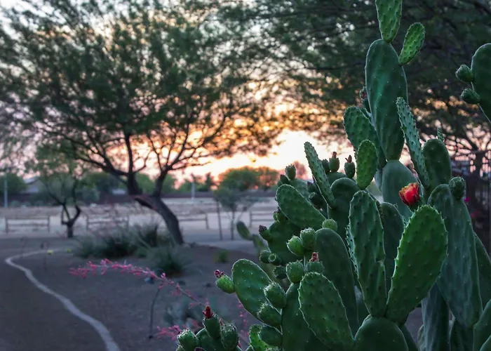 Bluegreen Vacations Cibola Vista Resort And Spa, An Ascend Collection Resort
