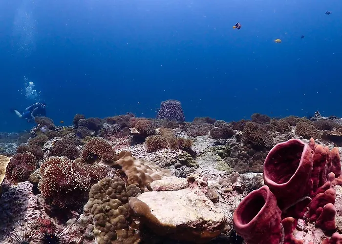 Adang Sea Divers & Eco Lodge